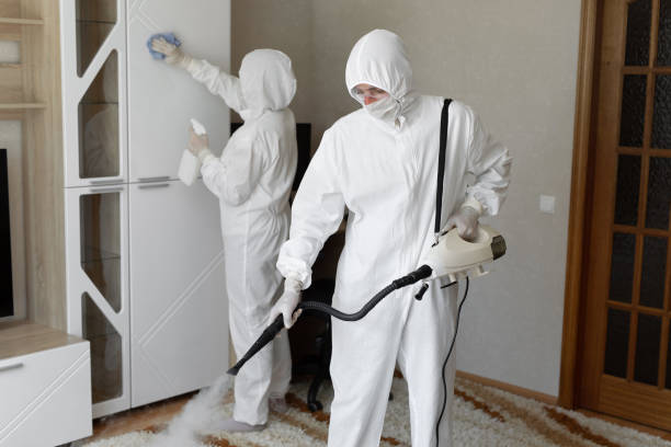 Mold Removal and Inspection in Reading, PA