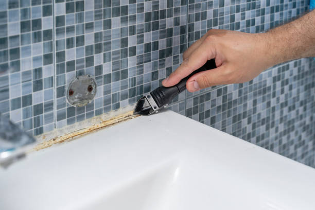 Best Mold Removal Company Near Me  in Reading, PA