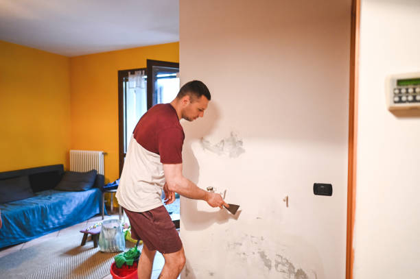 Best Home Mold Removal  in Reading, PA